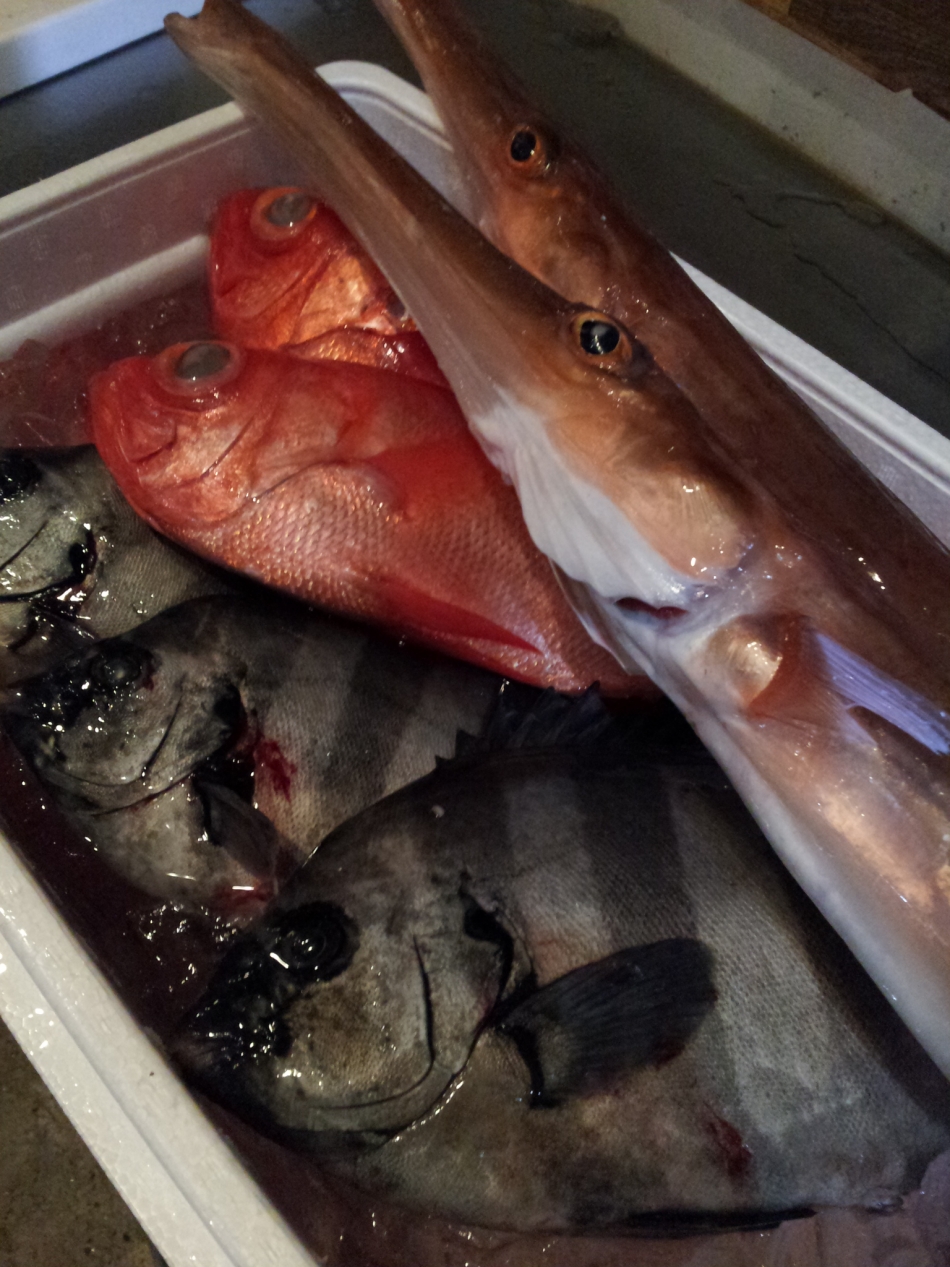 鮮魚